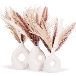 white background photography for amazon and ecommerce sellers and entrepreneurs