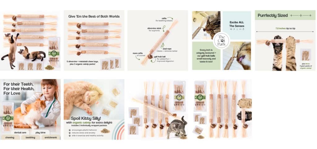 Silvervine Sticks 10pg artboard copy