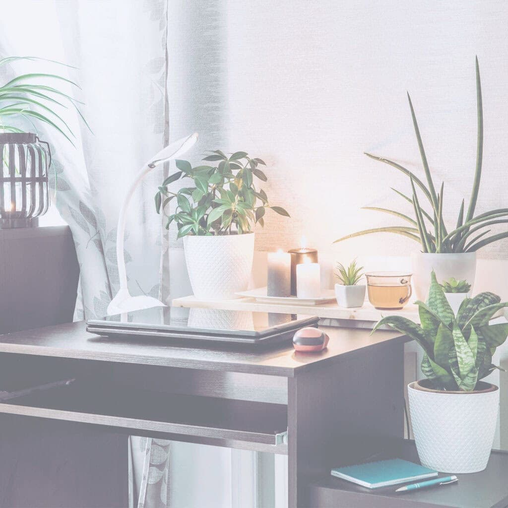 energetic business strategy calming environment for a regulated nervous system for success