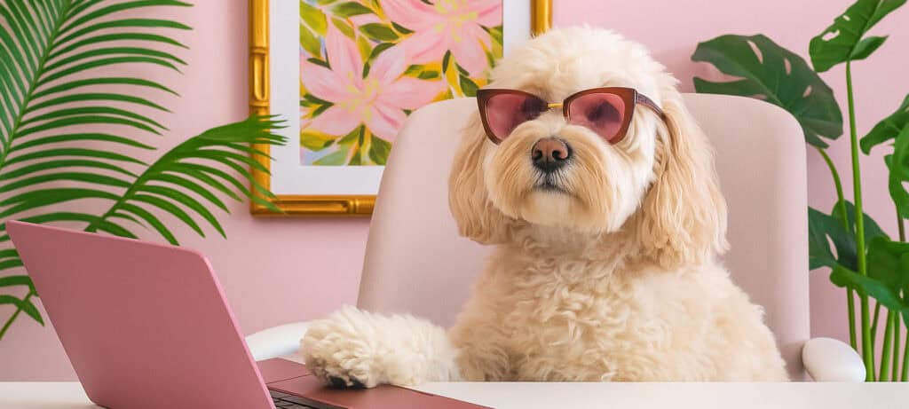 marketing support for entrepreneurs and creatives marketing support for entrepreneurs and creatives a cute doodle puppy sitting at a laptop working on soulful business strategy with a palm beach scene behind her with floral artwork and palm trees