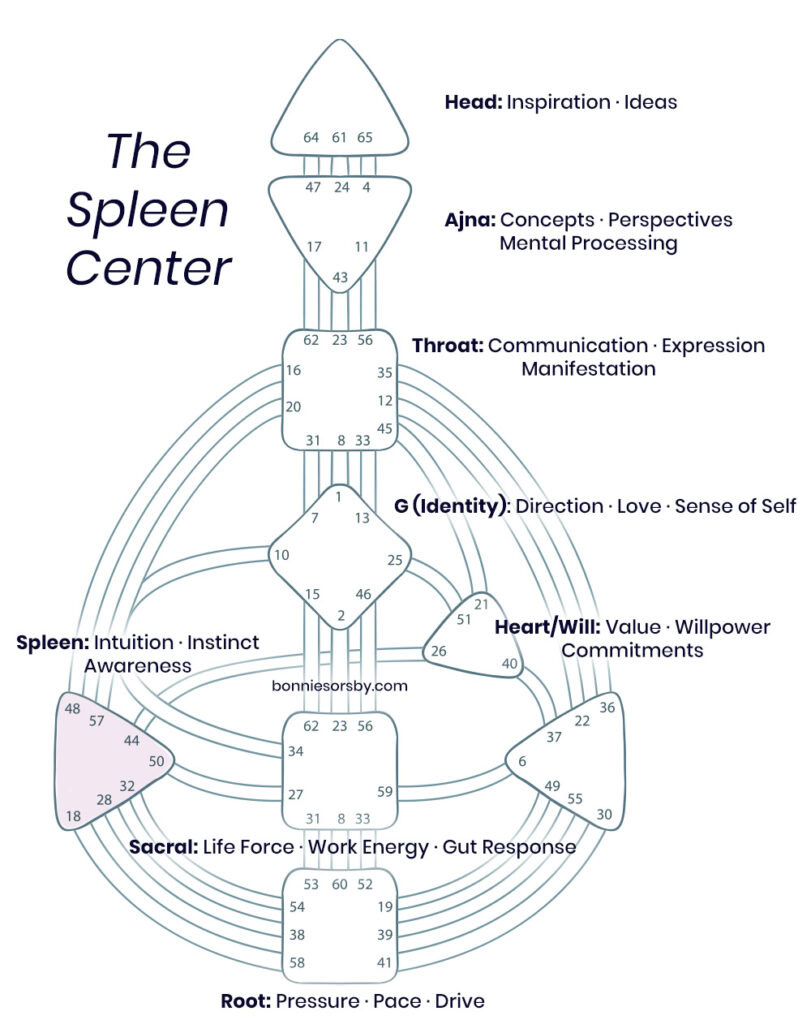 definted spleen center explanation graphic on human design bodygraph