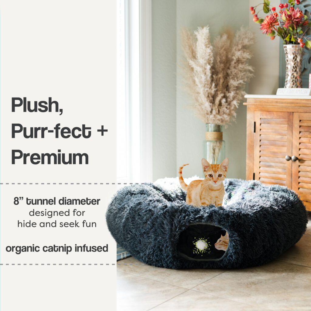 Artboard 3 with catnipTheEclipseTheEclipse