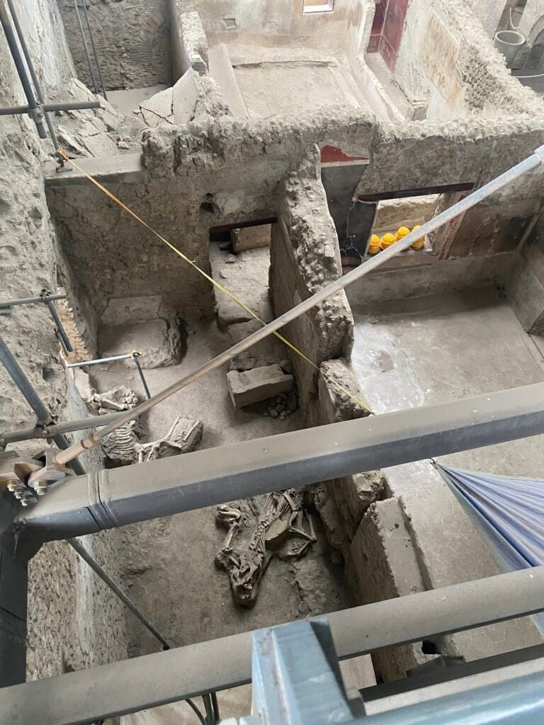 active archaeological excavation of donkey bones in pompeii italy