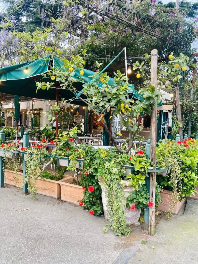 A cozy outdoor café setup featuring colorful flowers, potted plants, and a shaded seating area surrounded by trees and decorative string lights.