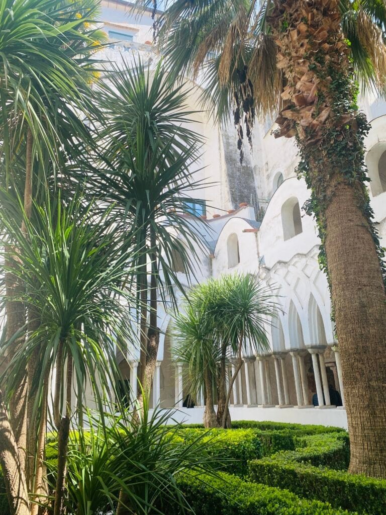 Lush palm trees and greenery in a historic Italian courtyard, showcasing Mediterranean flora against white architectural arches.
