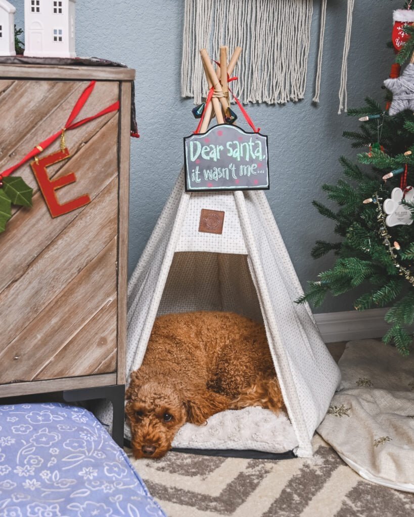 queen juno in aquarius