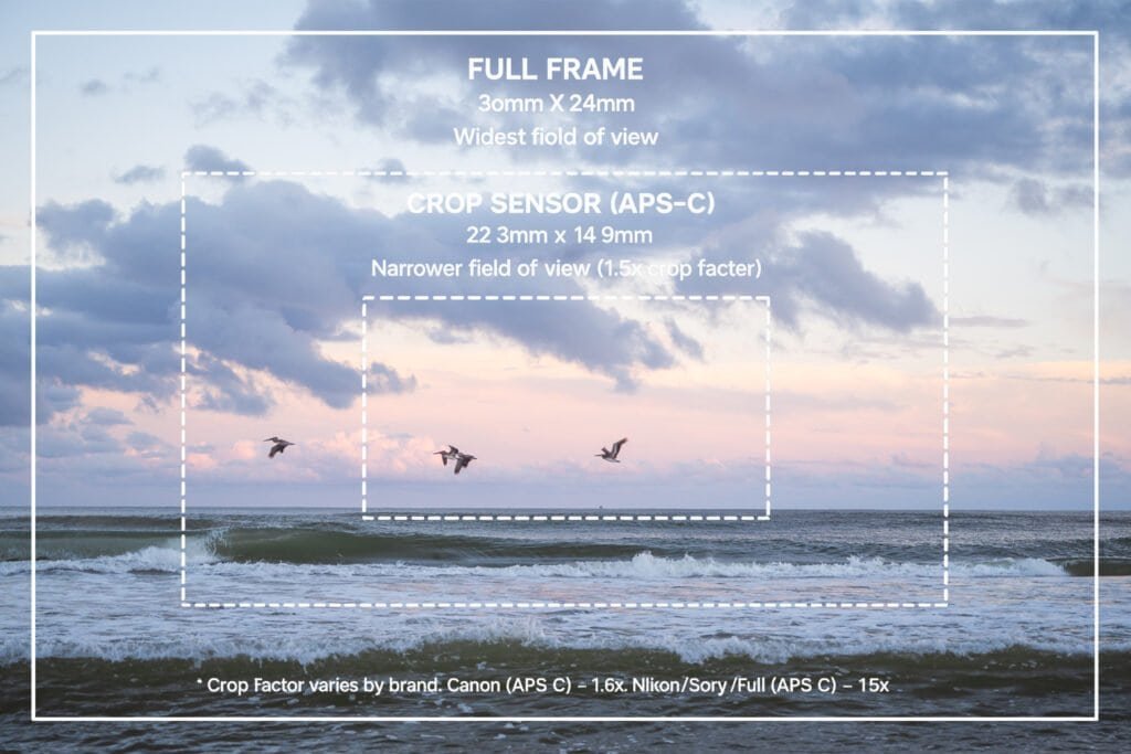 Diagram overlay comparing full frame and crop sensor (APS-C) field of view, with a smaller inner frame showing tighter crop with a palm beach oceanscape behind the diagram with 4 pelicans flying by