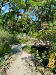 Serene tropical garden pathway surrounded by diverse lush plants, trees, and vibrant foliage, creating a peaceful natural retreat.