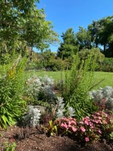 A lush garden scene featuring colorful flowers, green shrubs, and tall trees under a clear blue sky, showcasing natural beauty and outdoor serenity.