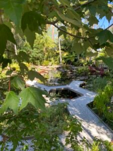 A tranquil garden scene featuring a winding metal pathway leading to a small pond with a waterfall, surrounded by lush greenery and vibrant plants under a bright blue sky.