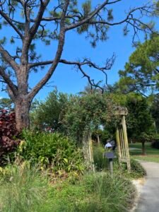 A peaceful garden scene featuring a wooden archway covered in flowering vines, surrounded by lush greenery and tall trees under a bright blue sky.