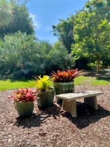 iphone photography of Colorful potted plants with a rustic cement bench in a lush garden setting.