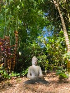 Serene Buddha statue meditating amidst vibrant tropical foliage and lush greenery in a peaceful outdoor setting.
