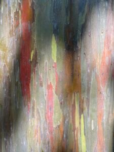 Abstract watercolor painting with vibrant drips and splashes of red, green, yellow, and brown on textured paper.