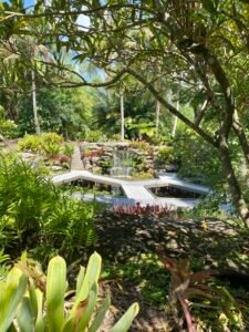 Water feature in lush tropical garden with stone pathway and vibrant greenery.