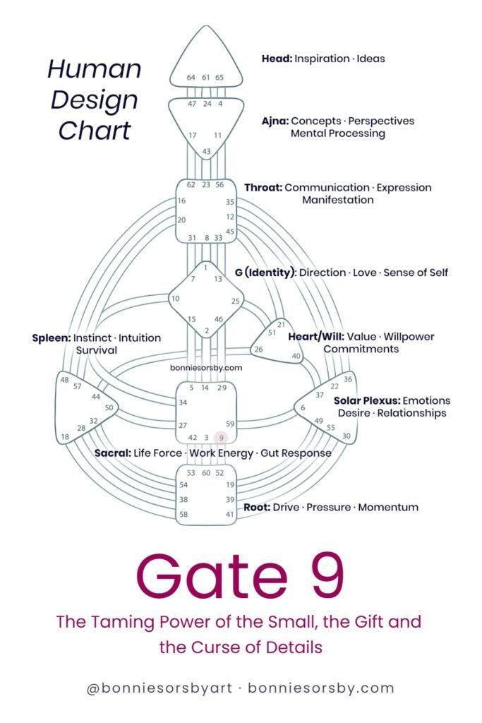 gate-9-human-design human design chart highlighting gate 9, the taming power of the small, the gift and the curse of details