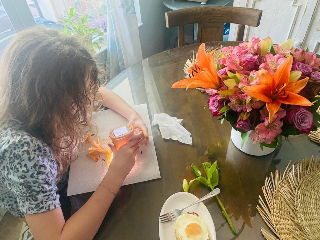 florida Homeschool student using a digital microscope to examine a lily flower at the breakfast table.