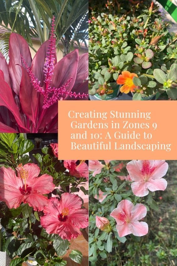 creating stunning gardens in zones 9 and 10 in florida and beyond: a guide to beautiful landscaping